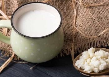 Kefir Nedir? Kefirin Faydaları Nelerdir?