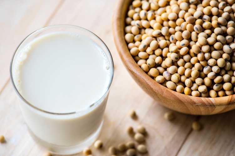 6 Farklı Süt Çeşidi Arasından Sizin İçin En Faydalı Süt Hangisidir?