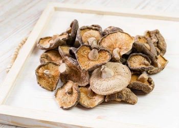 Shiitake Mantarı