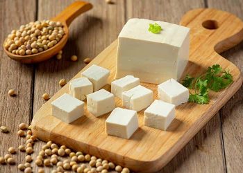 Tofu Peyniri Faydaları