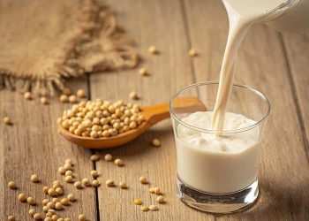 Soya Proteini