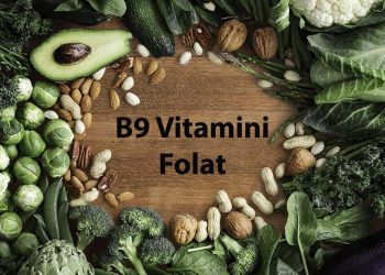 Folat İçeren Besinler